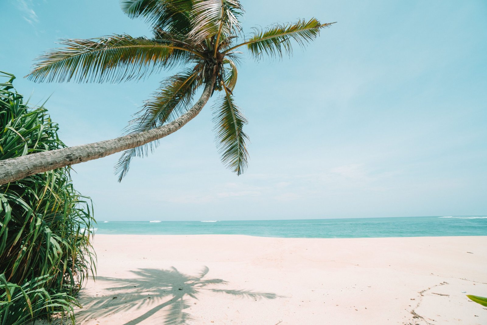 Tropical beach with a leaning palm tree, white sand, turquoise ocean, and clear blue sky on a sunny summer day